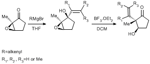 Rearrangement OBC